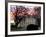 The Early Morning Sunrise Warms up the Winter Sky Behind the White House January 10, 2002-Ron Edmonds-Framed Photographic Print