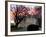 The Early Morning Sunrise Warms up the Winter Sky Behind the White House January 10, 2002-Ron Edmonds-Framed Photographic Print