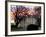 The Early Morning Sunrise Warms up the Winter Sky Behind the White House January 10, 2002-Ron Edmonds-Framed Photographic Print