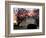 The Early Morning Sunrise Warms up the Winter Sky Behind the White House-null-Framed Photographic Print