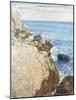The East Headland, Appledore - Isles of Shoals, 1908-Childe Hassam-Mounted Giclee Print