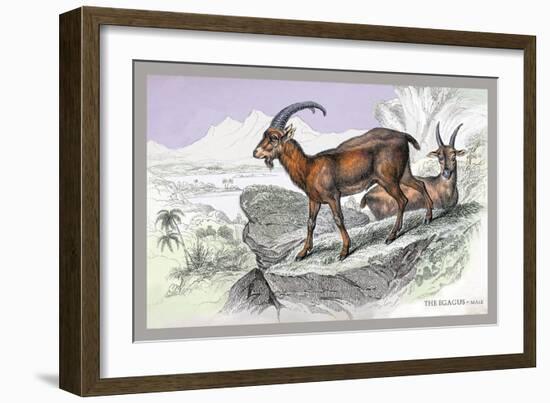 The Ecagus-John Stewart-Framed Art Print