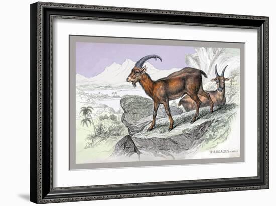 The Ecagus-John Stewart-Framed Art Print