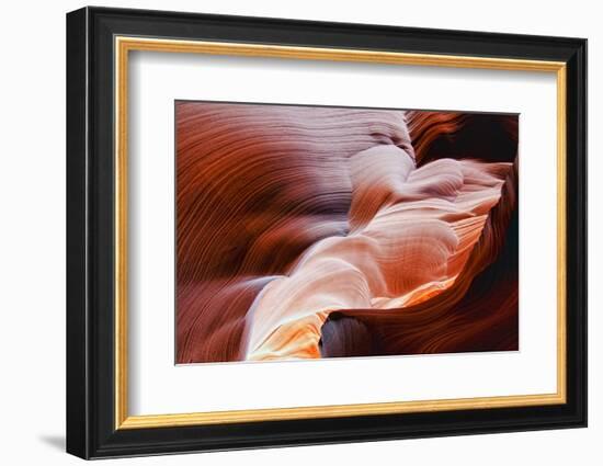 The Echo of Time-Andrew J. Lee-Framed Photographic Print