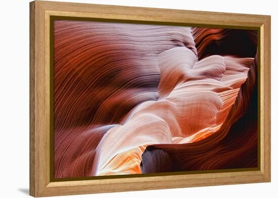 The Echo of Time-Andrew J. Lee-Framed Premier Image Canvas