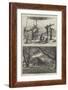 The Eclipse Expedition in India-Charles Robinson-Framed Giclee Print