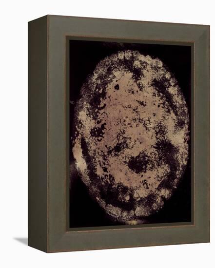 The Eclipse-Petr Strnad-Framed Premier Image Canvas