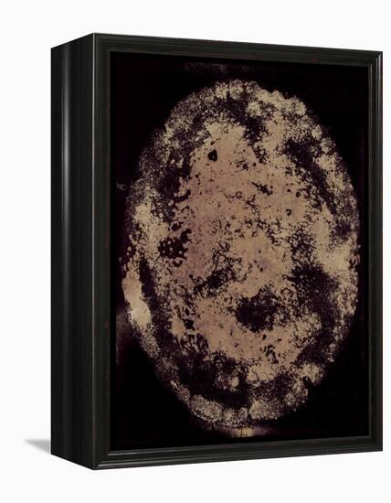 The Eclipse-Petr Strnad-Framed Premier Image Canvas