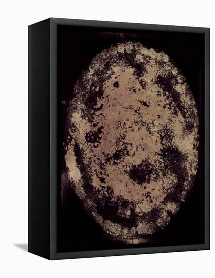 The Eclipse-Petr Strnad-Framed Premier Image Canvas