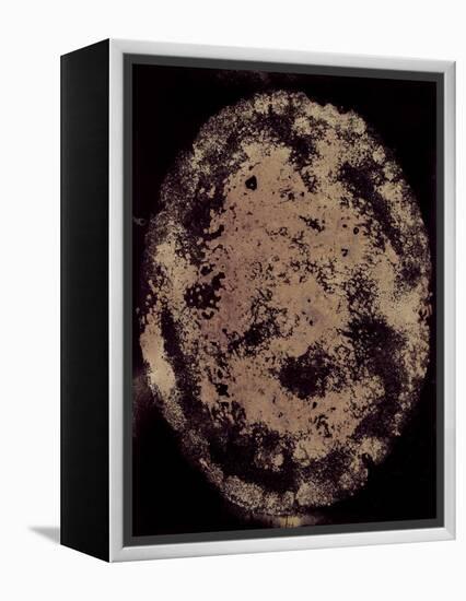 The Eclipse-Petr Strnad-Framed Premier Image Canvas