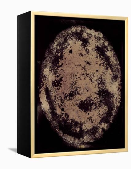 The Eclipse-Petr Strnad-Framed Premier Image Canvas