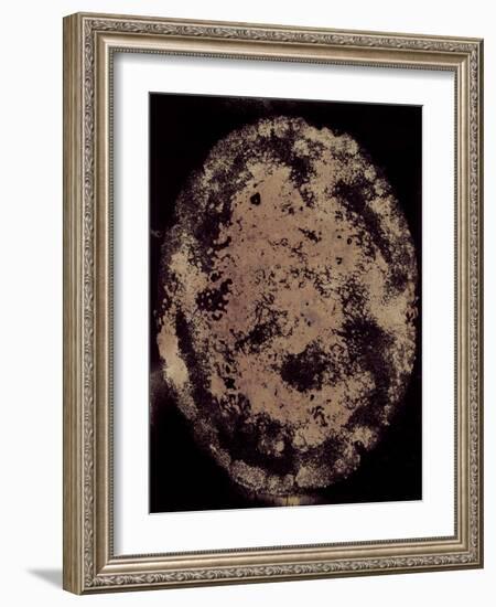 The Eclipse-Petr Strnad-Framed Photographic Print