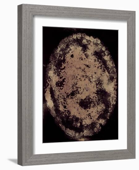 The Eclipse-Petr Strnad-Framed Photographic Print
