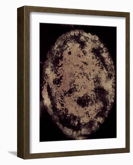 The Eclipse-Petr Strnad-Framed Photographic Print