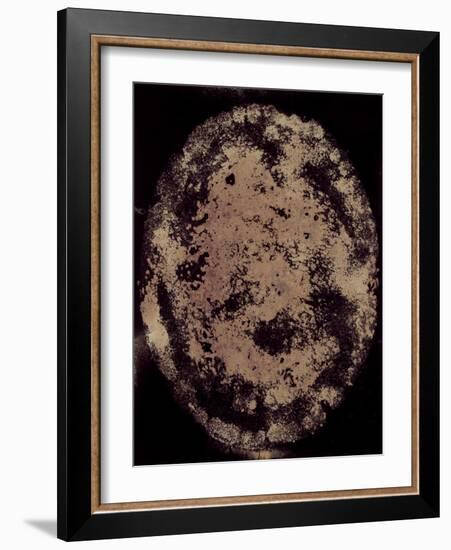 The Eclipse-Petr Strnad-Framed Photographic Print