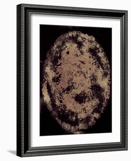 The Eclipse-Petr Strnad-Framed Photographic Print