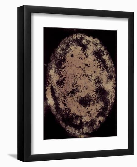 The Eclipse-Petr Strnad-Framed Photographic Print