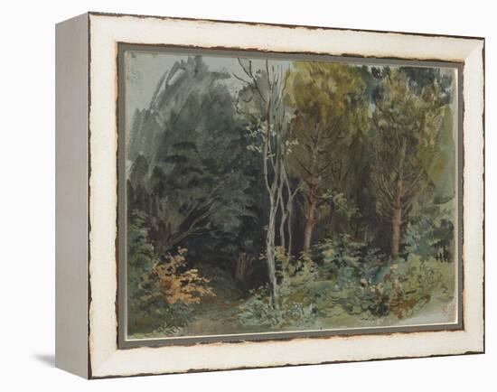 The Edge of a Wood at Nohant, C. 1842-1843 (W/C)-Ferdinand Victor Eugene Delacroix-Framed Premier Image Canvas