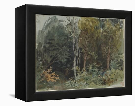 The Edge of a Wood at Nohant, C. 1842-1843 (W/C)-Ferdinand Victor Eugene Delacroix-Framed Premier Image Canvas