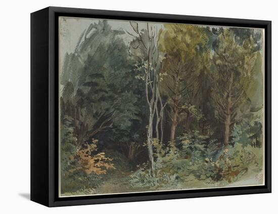 The Edge of a Wood at Nohant, C. 1842-1843 (W/C)-Ferdinand Victor Eugene Delacroix-Framed Premier Image Canvas