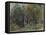 The Edge of a Wood at Nohant, C. 1842-1843 (W/C)-Ferdinand Victor Eugene Delacroix-Framed Premier Image Canvas