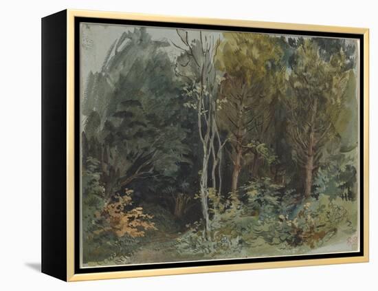 The Edge of a Wood at Nohant, C. 1842-1843 (W/C)-Ferdinand Victor Eugene Delacroix-Framed Premier Image Canvas