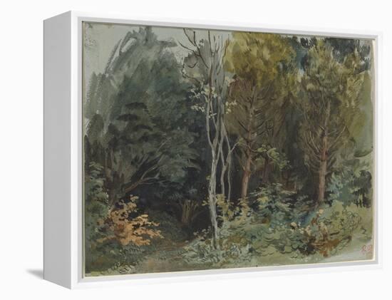 The Edge of a Wood at Nohant, C. 1842-1843 (W/C)-Ferdinand Victor Eugene Delacroix-Framed Premier Image Canvas