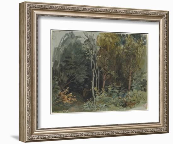 The Edge of a Wood at Nohant, C. 1842-1843 (W/C)-Ferdinand Victor Eugene Delacroix-Framed Giclee Print