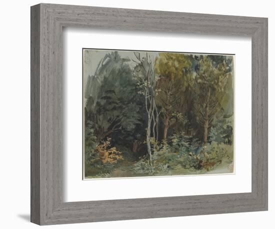 The Edge of a Wood at Nohant, C. 1842-1843 (W/C)-Ferdinand Victor Eugene Delacroix-Framed Giclee Print