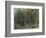 The Edge of a Wood at Nohant, C. 1842-1843 (W/C)-Ferdinand Victor Eugene Delacroix-Framed Giclee Print