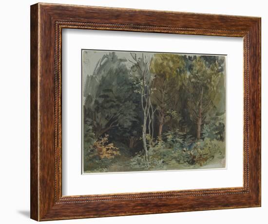 The Edge of a Wood at Nohant, C. 1842-1843 (W/C)-Ferdinand Victor Eugene Delacroix-Framed Giclee Print