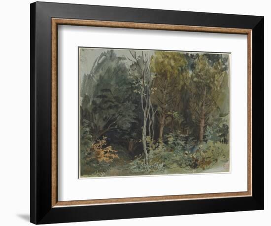 The Edge of a Wood at Nohant, C. 1842-1843 (W/C)-Ferdinand Victor Eugene Delacroix-Framed Giclee Print