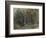 The Edge of a Wood at Nohant, C. 1842-1843 (W/C)-Ferdinand Victor Eugene Delacroix-Framed Giclee Print