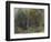 The Edge of a Wood at Nohant, C. 1842-1843 (W/C)-Ferdinand Victor Eugene Delacroix-Framed Giclee Print