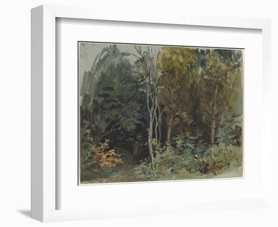 The Edge of a Wood at Nohant, C. 1842-1843 (W/C)-Ferdinand Victor Eugene Delacroix-Framed Giclee Print