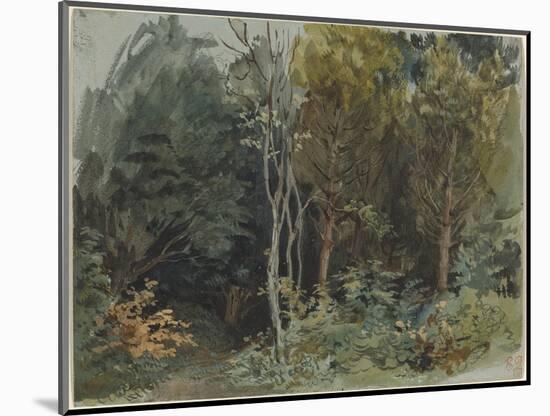 The Edge of a Wood at Nohant, C. 1842-1843 (W/C)-Ferdinand Victor Eugene Delacroix-Mounted Giclee Print
