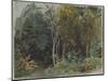 The Edge of a Wood at Nohant, C. 1842-1843 (W/C)-Ferdinand Victor Eugene Delacroix-Mounted Giclee Print