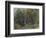 The Edge of a Wood at Nohant, C. 1842-1843 (W/C)-Ferdinand Victor Eugene Delacroix-Framed Giclee Print