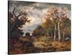 Stretched Canvas Print