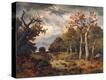 Stretched Canvas Print