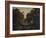 The Edge of the Wood, c1824-Patrick Nasmyth-Framed Giclee Print