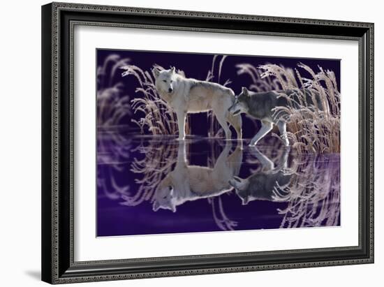 The Edge of Winter-Gordon Semmens-Framed Giclee Print