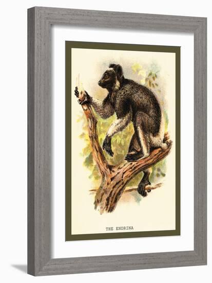 The Edrina-Sir William Jardine-Framed Art Print