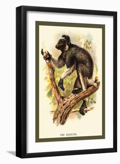 The Edrina-Sir William Jardine-Framed Art Print