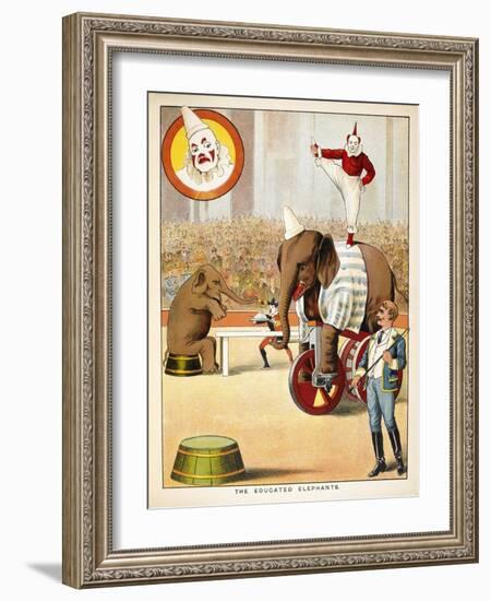 The Educated Elephants'. an Involving Elephants and Clowns in a Circus-null-Framed Giclee Print