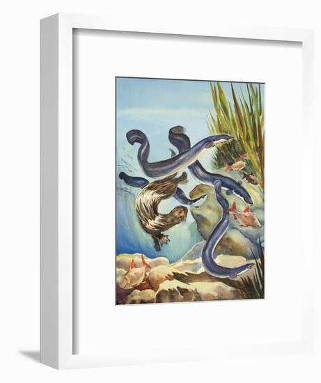 The Eel's Amazing Journey-G. W Backhouse-Framed Premium Giclee Print