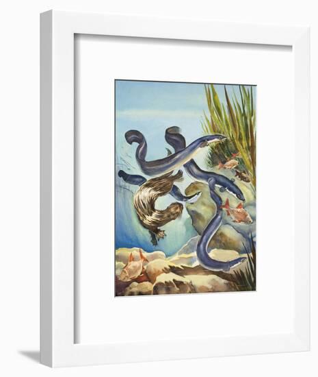 The Eel's Amazing Journey-G. W Backhouse-Framed Premium Giclee Print