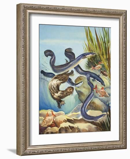 The Eel's Amazing Journey-G. W Backhouse-Framed Giclee Print