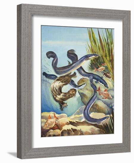 The Eel's Amazing Journey-G. W Backhouse-Framed Giclee Print