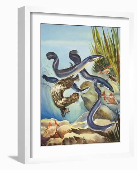 The Eel's Amazing Journey-G. W Backhouse-Framed Giclee Print